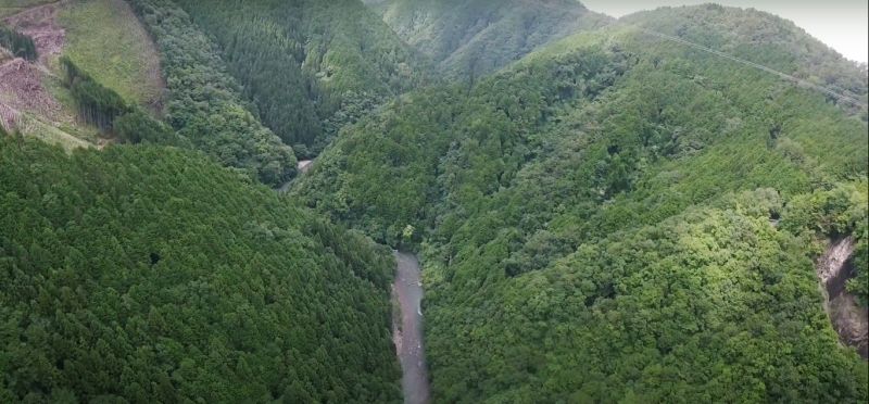 nhảy bungee ở gifu